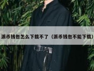 派币钱包怎么下载不了（派币钱包不能下载）