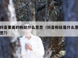 抖音里面的粉丝什么意思（抖音粉丝是什么意思?）