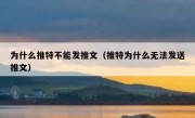为什么推特不能发推文（推特为什么无法发送推文）