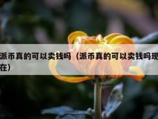 派币真的可以卖钱吗（派币真的可以卖钱吗现在）