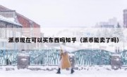 派币现在可以买东西吗知乎（派币能卖了吗）