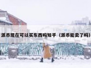 派币现在可以买东西吗知乎（派币能卖了吗）
