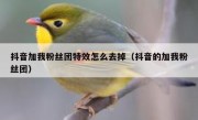 抖音加我粉丝团特效怎么去掉（抖音的加我粉丝团）