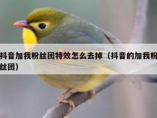 抖音加我粉丝团特效怎么去掉（抖音的加我粉丝团）