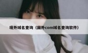 境外域名查询（国外com域名查询软件）