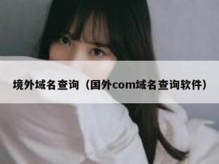 境外域名查询（国外com域名查询软件）