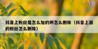 抖音上粉丝是怎么加的啊怎么删除（抖音上面的粉丝怎么删除）