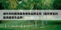 国外好的服务器有哪些品牌名称（国外便宜的服务器推荐品牌）
