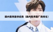 国内服务器供应商（国内服务器厂商排名）