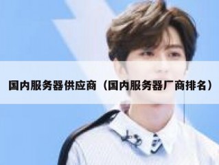 国内服务器供应商（国内服务器厂商排名）