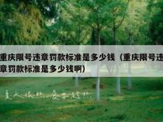重庆限号违章罚款标准是多少钱（重庆限号违章罚款标准是多少钱啊）