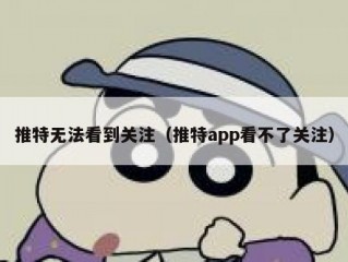 推特无法看到关注（推特app看不了关注）