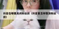 抖音在哪里关闭粉丝团（抖音里怎样取消粉丝团）