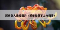 派币登入流程图片（派币登录不上咋回事）