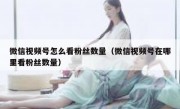 微信视频号怎么看粉丝数量（微信视频号在哪里看粉丝数量）