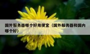 国外服务器哪个好用便宜（国外服务器和国内哪个好）
