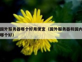 国外服务器哪个好用便宜（国外服务器和国内哪个好）