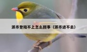 派币登陆不上怎么回事（派币进不去）