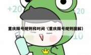 重庆限号规则和时间（重庆限号规则图解）