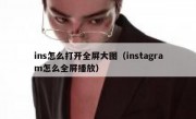 ins怎么打开全屏大图（instagram怎么全屏播放）