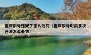 重庆限号违规了怎么处罚（重庆限号时段多次违法怎么处罚）