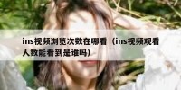 ins视频浏览次数在哪看（ins视频观看人数能看到是谁吗）