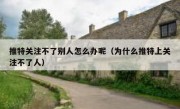 推特关注不了别人怎么办呢（为什么推特上关注不了人）