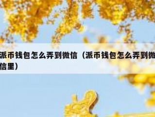 派币钱包怎么弄到微信（派币钱包怎么弄到微信里）