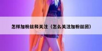 怎样加粉丝和关注（怎么关注加粉丝团）