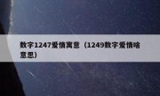 数字1247爱情寓意（1249数字爱情啥意思）