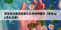 派币的注册流程是什么样的啊图片（派币app怎么注册）