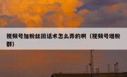视频号加粉丝团话术怎么弄的啊（视频号增粉群）