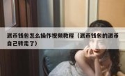 派币钱包怎么操作视频教程（派币钱包的派币自己转走了）