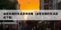 油管主播的生活游戏攻略（油管主播的生活游戏下载）