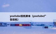 youtube挂机脚本（youtube广告挂机）