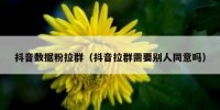 抖音数据粉拉群（抖音拉群需要别人同意吗）