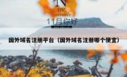 国外域名注册平台（国外域名注册哪个便宜）
