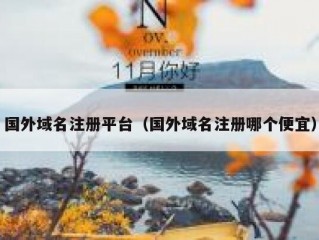 国外域名注册平台（国外域名注册哪个便宜）