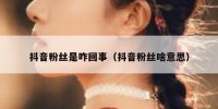 抖音粉丝是咋回事（抖音粉丝啥意思）