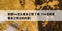 新版ins怎么看自己赞了谁（ins在哪里看自己赞过的内容）