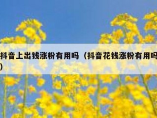 抖音上出钱涨粉有用吗（抖音花钱涨粉有用吗）
