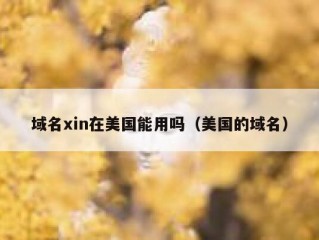 域名xin在美国能用吗（美国的域名）