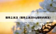 推特上关注（推特上关注big烟枪的网友）