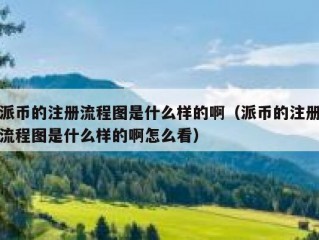 派币的注册流程图是什么样的啊（派币的注册流程图是什么样的啊怎么看）