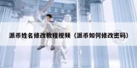 派币姓名修改教程视频（派币如何修改密码）