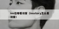 ins在哪看访客（insstory怎么看访客）