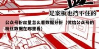 公众号粉丝量怎么看数据分析（微信公众号的粉丝数据在哪里看）