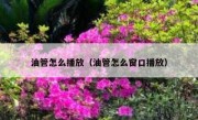 油管怎么播放（油管怎么窗口播放）
