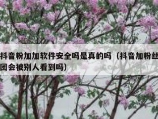 抖音粉加加软件安全吗是真的吗（抖音加粉丝团会被别人看到吗）