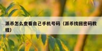 派币怎么查看自己手机号码（派币找回密码教程）